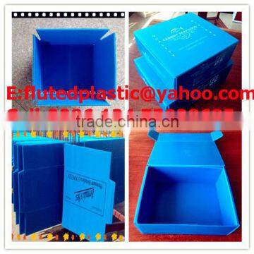 PP corrugated plastic Corflute box with lids for fish,oysters,seafood