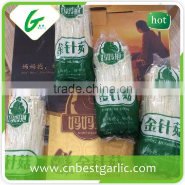 Health food boiled fresh enoki mushrooms