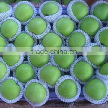 china green/jonagold apple price and specifications