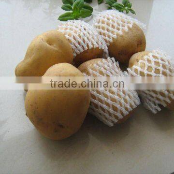 2011 holland POTATO in cartons