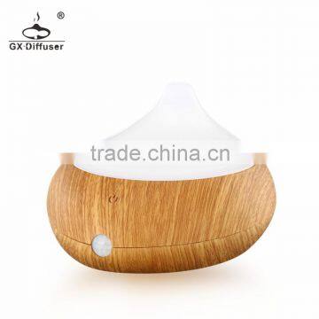 GX Diffuser Newest Painting Color Usb Aroma Diffuser With Adapter GX-B06 photo-5