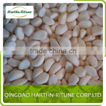 New Crop A IQF Frozen Natural Garlic Price