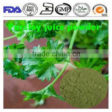 KOSHER&NATURAL Manufacturer supply Parsley powder