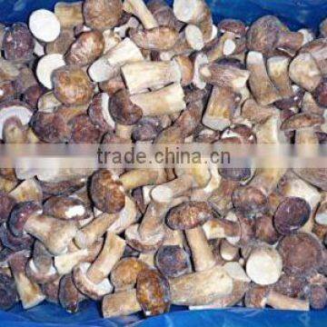 Good Quality Frozen IQF King Oyster Mushroom Pieces photo-6
