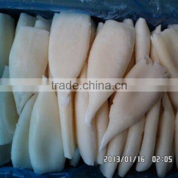 IQF Squid Tube Fish Todarodes Pacificus photo-2