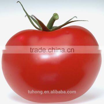 High Disease Resistant Early Maturity Hybrid Tomato seeds for sale