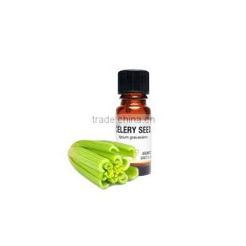 CELERY SEED OIL