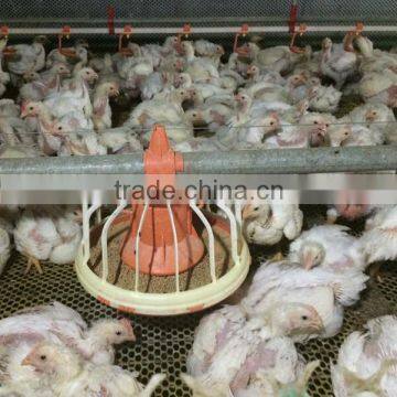 broiler equipment automatic chicken feeder for poultry house