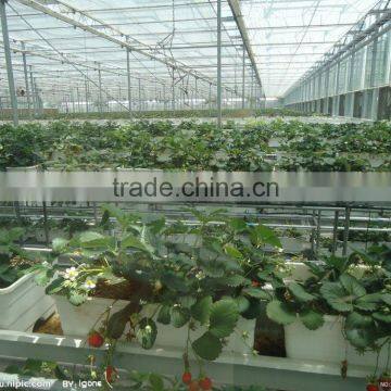 low cost Polycarbonate Agricultural Greenhouse