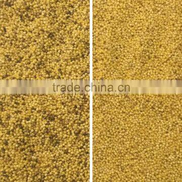 Excellent Agricultural Seeds Ccd Optical Color Sorter photo-5