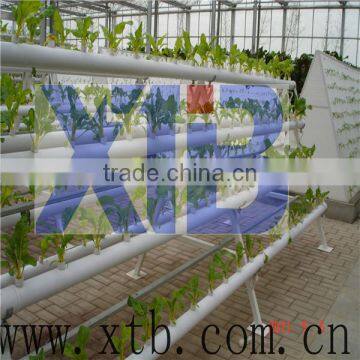 Multi Span Agricultural Glass Greenhouse