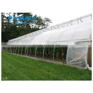 Factory Price BaoLiDa Poly Tunnel Greenhouse For Vegetables /Fruits /Crops photo-3