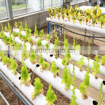 High Tech Multi Span Poly Film Agricultural Commercial Greenhouse for Sale photo-5