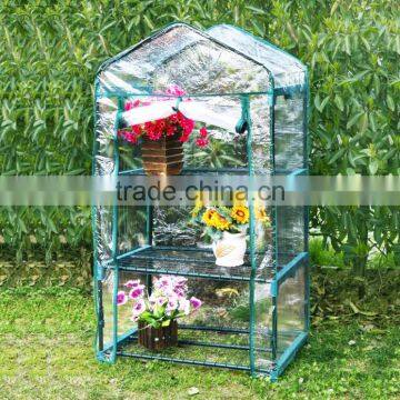 greenhouse in garden