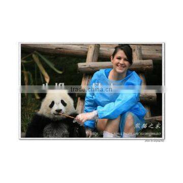 PE Film Laminated PP Nonwoven Fabric photo-3