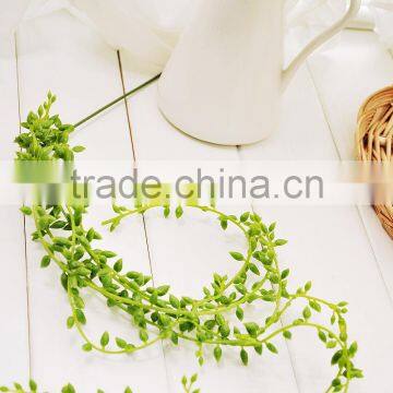 Wall Hanging Vines photo-2