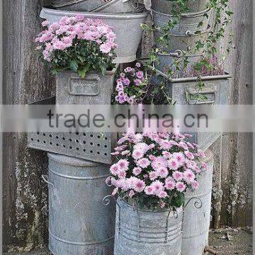 Zinc pots and Gavanized Flower Planter from Viet Nam