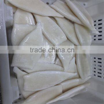 Pacific Squid Tube Frozen photo-4
