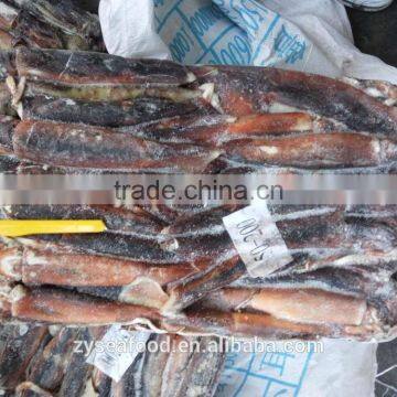 2017 New Arrival Frozen Bulk Argentina Squid/Illex Argentinus photo-3