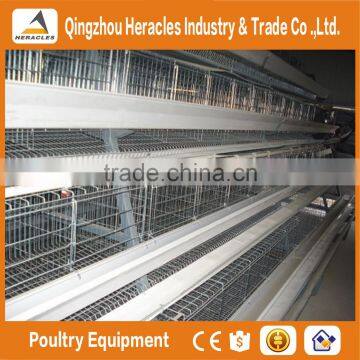 Heracles Company Price A Type Layer Chicken Cage-trade Assurance Chicken Breeding Cage photo-3