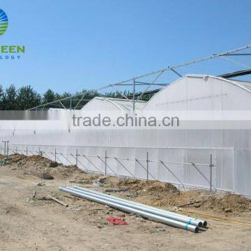 Various Agricultural Multi Span Polycarbonate Greenhouse photo-2