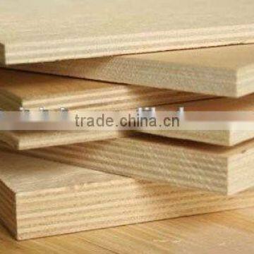 Cheap e1 Glue Construction Grade Poplar Plywood photo-2