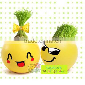 Mini Garden Growing Grass Hair Toy Growing Grass Head Toys 002-2(ceramic Colour Glaze) photo-3