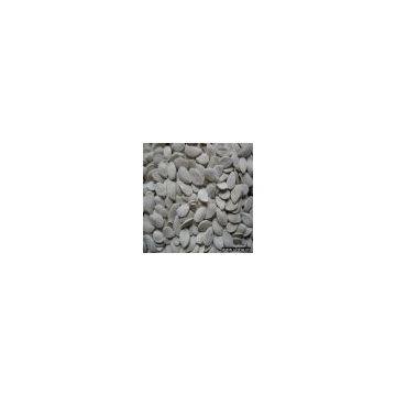 Export Pumpkin Seeds