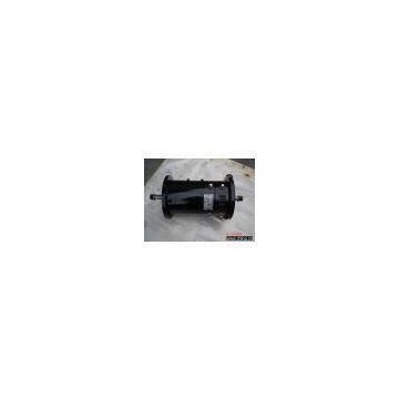 double-shaft DC motor