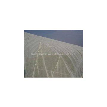 Sell Window Screen