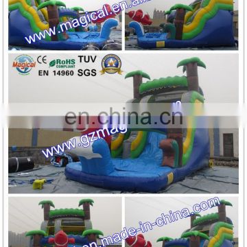 Backyard Wet & Dry Slide With Pool Inflatable Water Slide