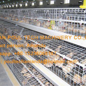 Tanzania Poultry Farm Chicken Shed A Frame Automatic Pullet Cage & Small Chicken Cage with Nipple Drinker & Feeding Trough