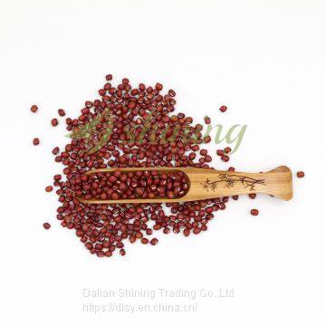 Chinese sprouting adzuki beans