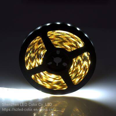 High brightness Flexible led strip 5050 smd 12v 24v white color led light strip light