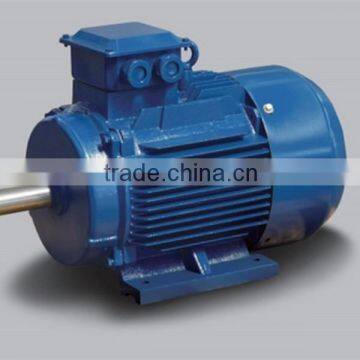IE2/IE3 High Efficiency High Speed Asynchronous Motor