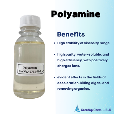 CAS No. 42751-79-1 Polyamine Flocculants & Algaecide for Ponds Sewage Treatment photo-1
