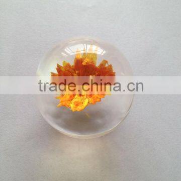 Professional clear big plastic Christmas ball with real bugs embedded for wholesale