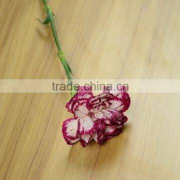 Quality Olympic wide variety small carnation