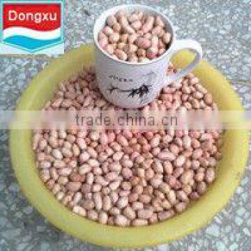 shandong factory peanut kernels 40/50