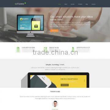 web site development