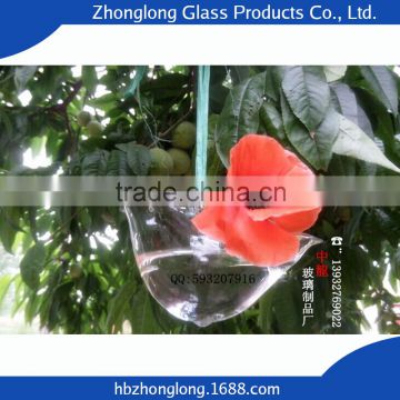 2016 New Design Eco-Friendly Transparent Mouth Blown Glass Vase