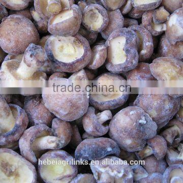 IQF frozen Style suillus granulatus mushroom