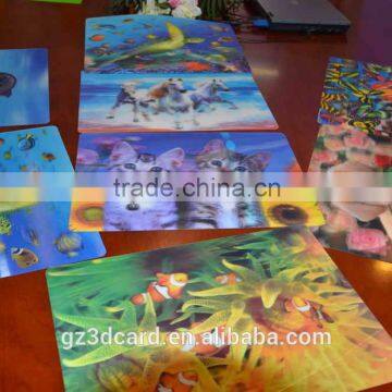 Guangzhou Lifeng 3D Place Mat With Lenticular Effect photo-3