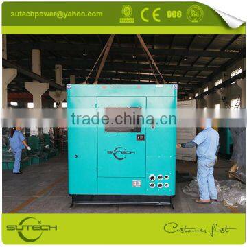 250Kva Electricity Generators for Homes Powered by Cummins NT855-GA Engine photo-5