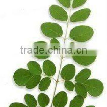 moringa seed oil