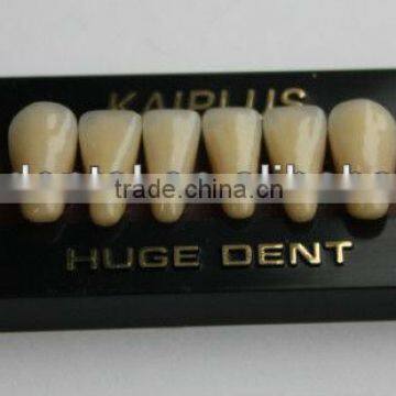 CE certificated Four layers kaiplus Synthetic polymer teeth C4L