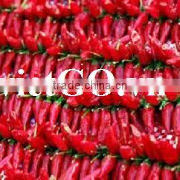 Vietnam red hot chili pepper powder