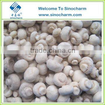 Frozen Button Mushroom Whole and Slices