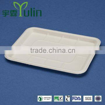 Disposable 100% biodegradable fruit tray