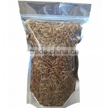 High Protein Dried Mealworms For Wild Bird Food